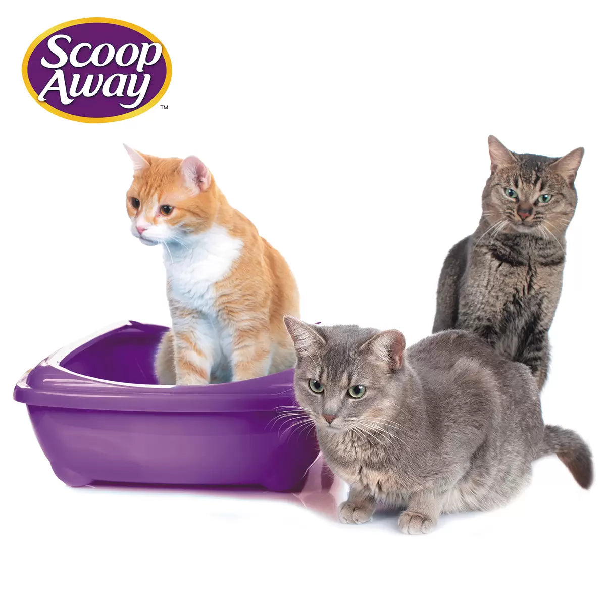 Scoop Away Complete Performance Cat Litter 19 kg