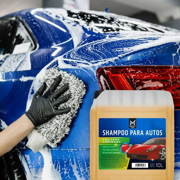 Member's Mark Car Wash Shampoo with Carnauba Wax 10 L