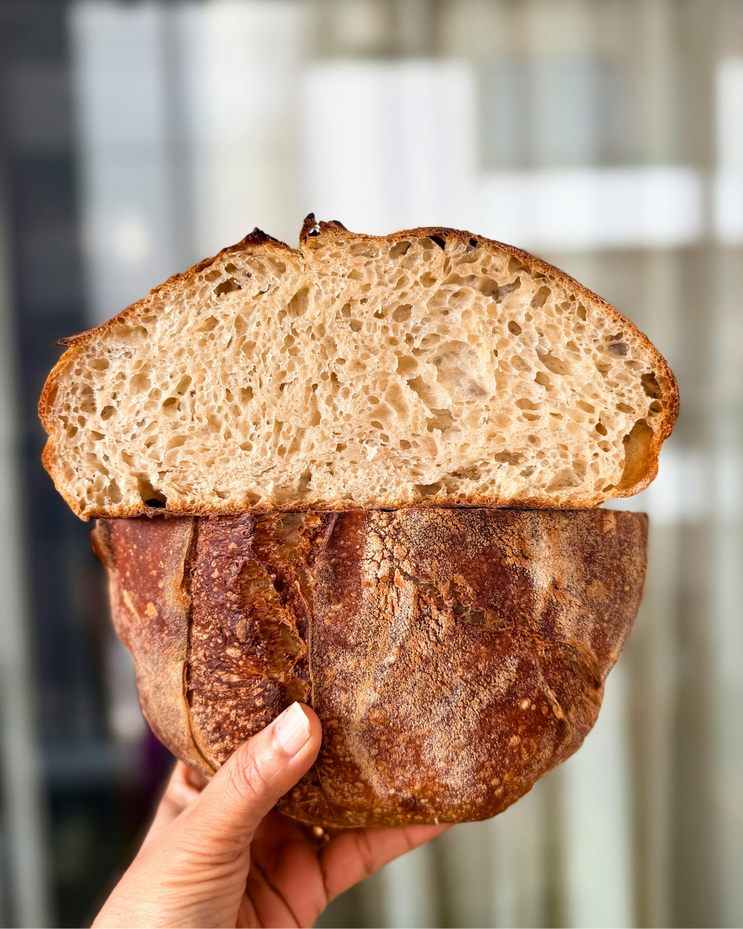 Uppland - Whole Wheat Sourdough Bread
