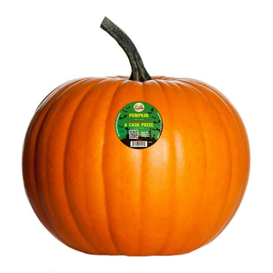 Halloween Pumpkin 9 kg