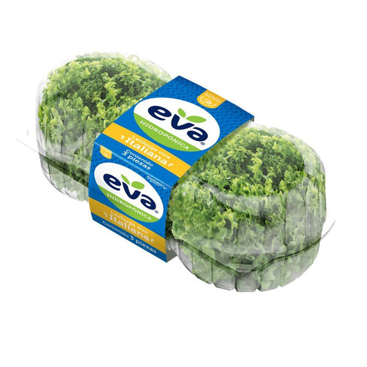 Eva Italian Lettuce 3un