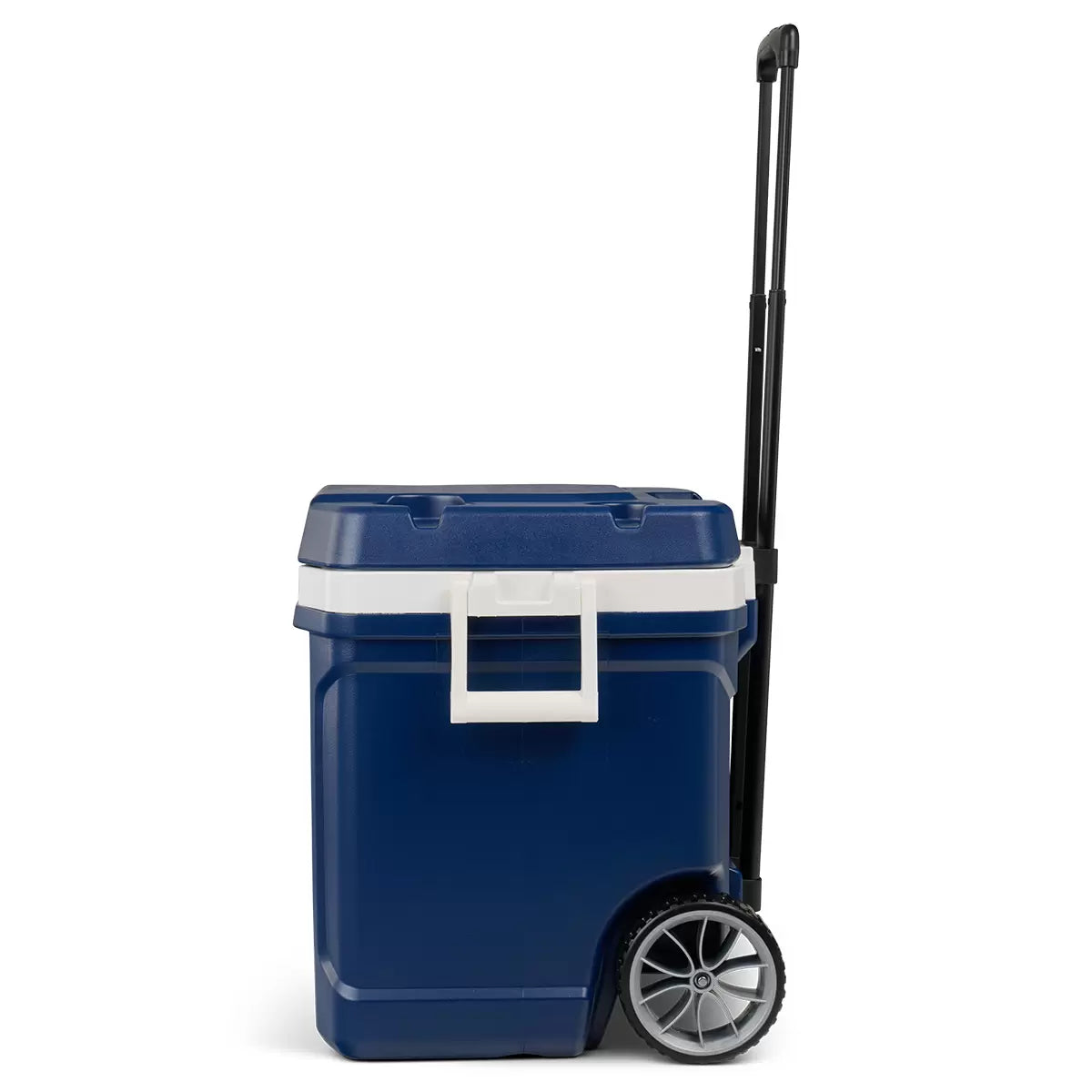 Igloo 62-Quart Latitude Roller Cooler