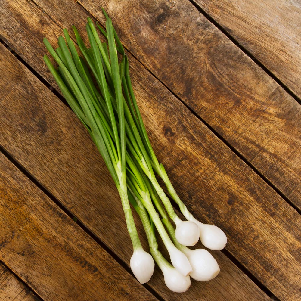 Organic Green Onion Bunch of 8