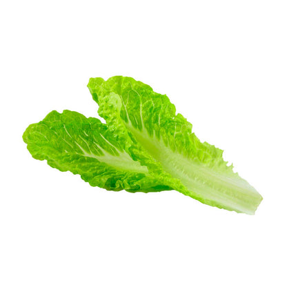 Mr. Lucky: Organic Romaine Lettuce Leaves - 250g (8.8 oz)