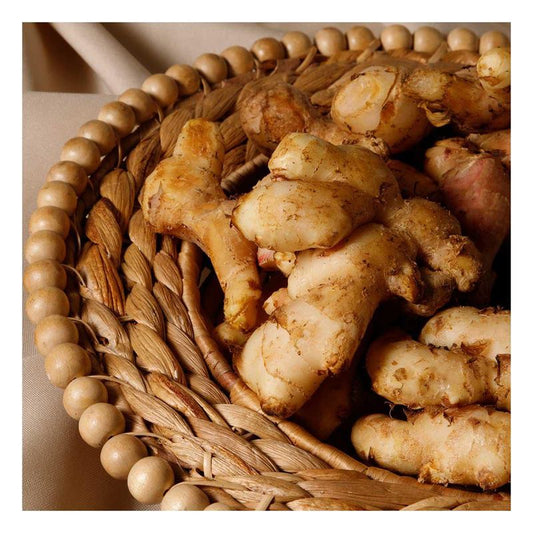 Ginger - 5.3 oz (150 gr)
