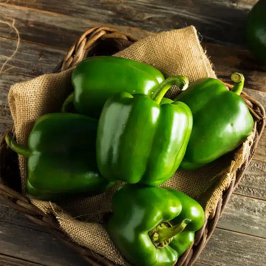 Green Peppers - 1kg (2.2 lb)