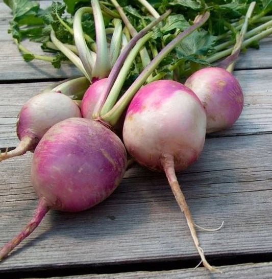 Organic Turnips 500 grs