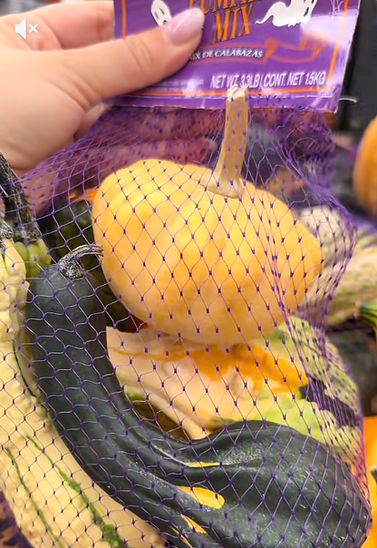 Seasonal Pumpkin Mix - 1.5 kg (approx. 3.3 lbs)