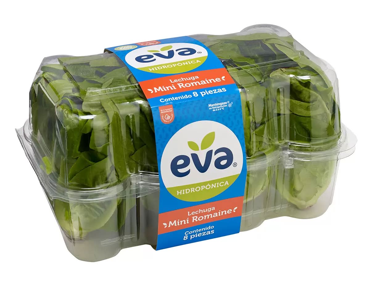 Hydroponic Mini Romaine Lettuce (8 count)