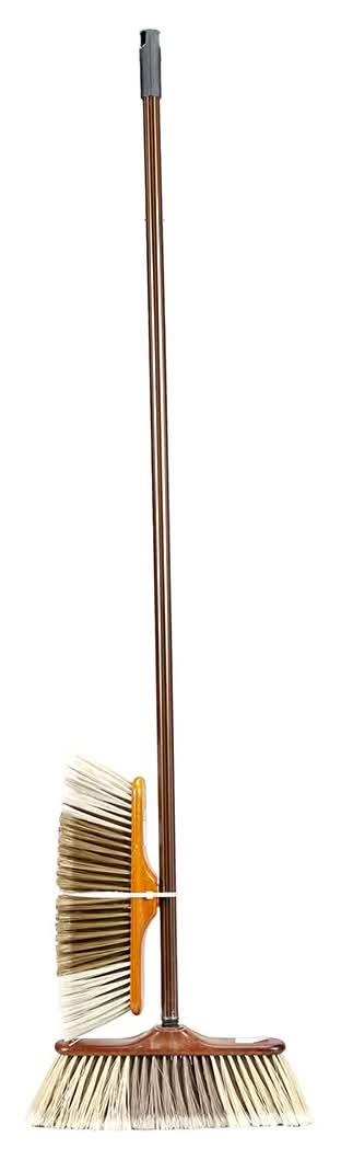 Ditemo Iberian Broom with Refill